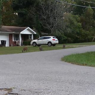 Crystal Care Center Of Franklin Furnace