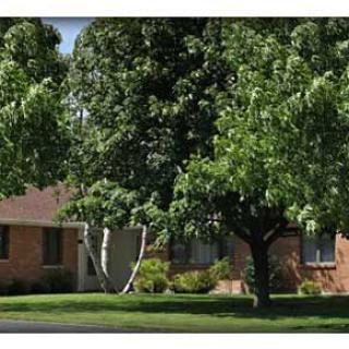A suburban house surrounded by lush green trees and a well-maintained lawn.