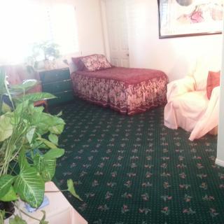 Carino's Quality Home Care