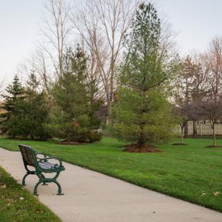 A peaceful park scene with a bench along a paved pathway, surrounded by trees and grass.