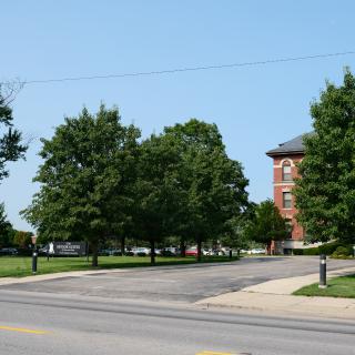A quiet street lined with trees leading to a brick building on a sunny day.