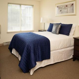 A cozy bedroom featuring a neatly made bed with blue bedding and pillows, complemented by natural light from a window.
