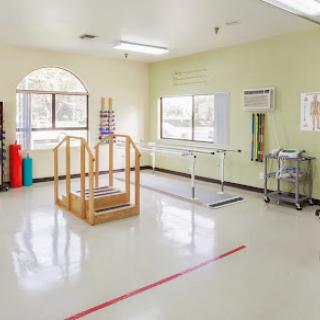 A bright and open physical therapy room equipped with exercise tools.