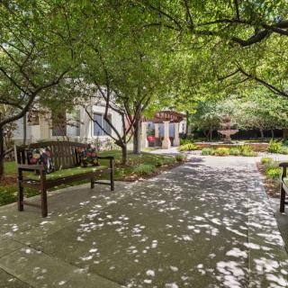A serene garden pathway lined with trees and benches, casting dappled shadows on the ground.