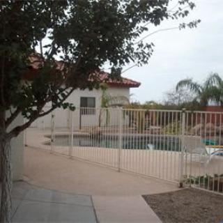 A backyard with a fenced swimming pool surrounded by a garden and palm trees.