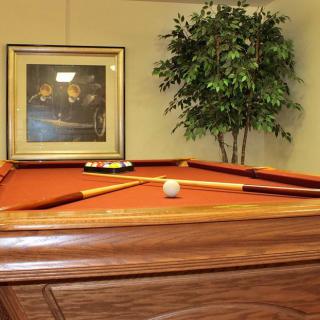 A corner pool table with a red felt surface, complemented by a cue stick and ball, a decorative plant, and a framed painting in the background.