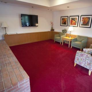 A cozy living room with a red carpet, featuring chairs, a television, and decorative paintings.