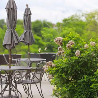 A tranquil outdoor patio setting with tables, chairs, and closed umbrellas surrounded by lush greenery.