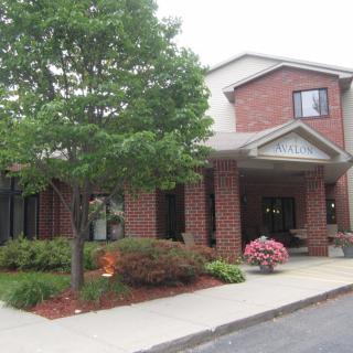 The entrance of a brick building with landscaping and trees.