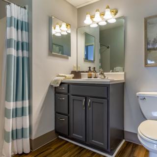 A modern bathroom with a vanity, mirror, and lighting above, featuring a striped shower curtain and toilet.