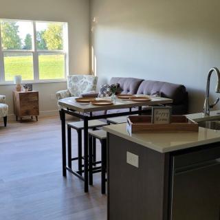 A modern and bright living space featuring a kitchen island and comfortable seating.