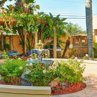 A vibrant courtyard garden featuring a central fountain surrounded by lush tropical plants and colorful flowers.