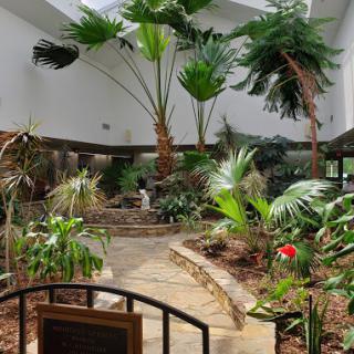A serene indoor garden featuring lush greenery and a winding pathway.