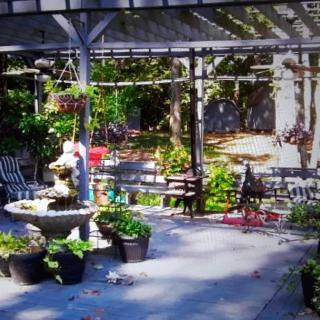 A serene garden patio with a fountain, surrounded by lush plants and shaded by a pergola.