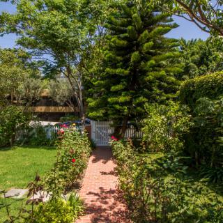 A lush garden pathway surrounded by vibrant greenery and towering trees.