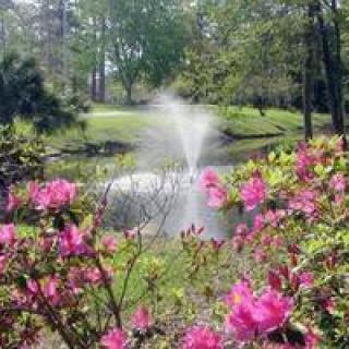 A serene garden with vibrant pink flowers and a central fountain surrounded by lush greenery.