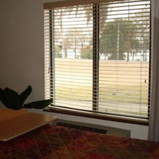An interior view of a room with a window featuring blinds partially open, allowing a glimpse of the outdoors and a plant on the side.