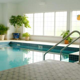 A serene indoor swimming pool surrounded by potted plants and illuminated by natural light from large windows.