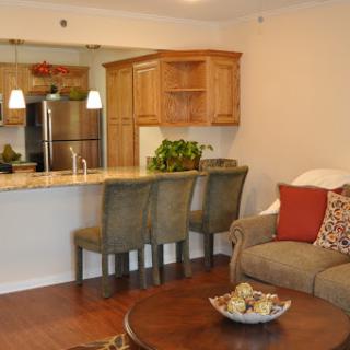 A cozy open-concept living space featuring a stylish kitchen and inviting seating area.