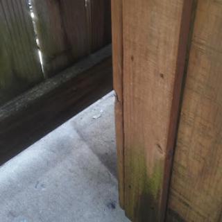 A close-up view of a wooden fence corner with some moss growing at the base.