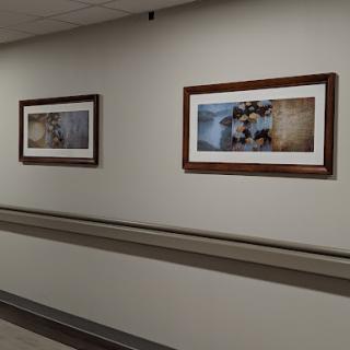 Northwell Health Stern Family Center For Rehab