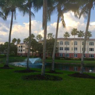 A tranquil scene featuring palm trees and a water fountain beside residential buildings.