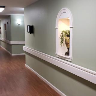 A well-lit hallway with wooden flooring and a decorative niche featuring a plant.