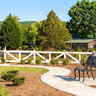 A serene garden area with a bench, winding pathway, and wooden fence surrounded by lush greenery.