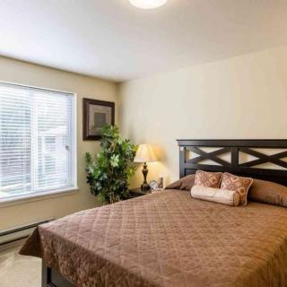 A cozy bedroom with a large window, featuring a bed with a brown quilt and pillows, complemented by a lamp and a potted plant.