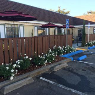 A motel exterior with a parking lot featuring handicap spaces, decorative flowers, and a wooden fence.