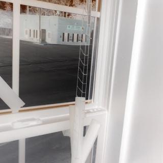 A view of the exterior through a window, presented in negative.