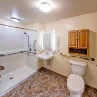 An accessible bathroom with a shower, grab bars, toilet, sink, and wooden cabinet.