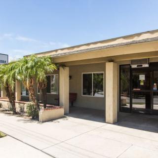 A commercial building entrance with palm trees and glass doors.