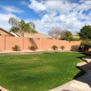 A well-maintained backyard with a green lawn, bordered by a fence and palm trees under a partly cloudy sky.