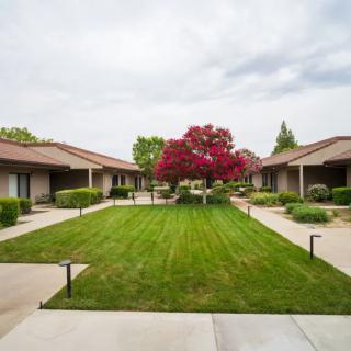 A well-maintained courtyard with a central lawn, surrounded by pathways and buildings, featuring a vibrant red tree.