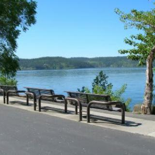 A scenic lakeside path with benches and trees.
