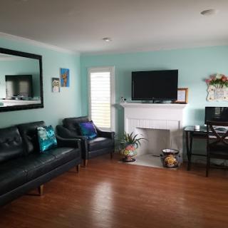 A cozy living room featuring a stylish black sofa, a modern TV setup, and a touch of greenery.