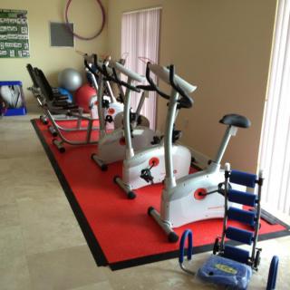 A row of exercise bikes in a gym setting, placed on a red mat alongside fitness balls.