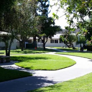 A sunny day on a winding pathway surrounded by lush greenery and trees.