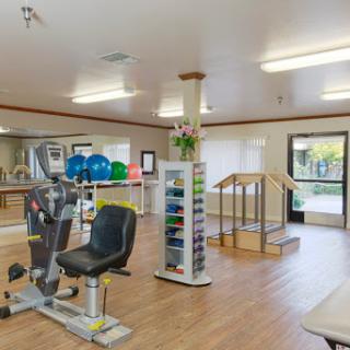 A well-equipped fitness center featuring exercise machines, stability balls, and an inviting atmosphere for rehabilitation and wellness.