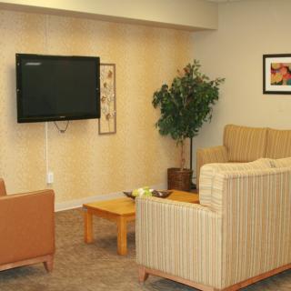 A cozy living room with a sofa, wall-mounted television, coffee table, and a potted plant.