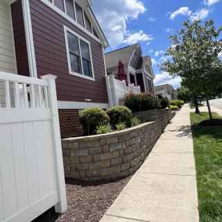 A sunny suburban street with well-maintained houses, landscaping, and a white fence.