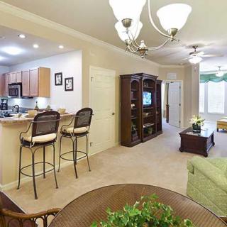 An open floor plan apartment featuring a cozy living room, adjacent dining area, and modern kitchen.