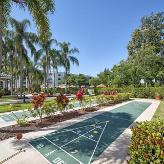 A sunny outdoor shuffleboard court surrounded by lush palm trees and vibrant landscaping.