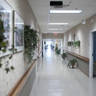 A clean and well-lit hospital corridor adorned with plants.