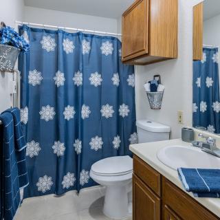 A bathroom with blue and white snowflake-themed decor, featuring a shower curtain, sink, cabinet, and toilet.