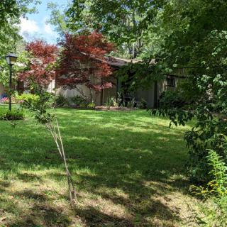 A serene backyard scene featuring a lush green lawn and vibrant trees.