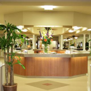 A well-lit hotel lobby featuring a wooden reception desk and decorative plants.