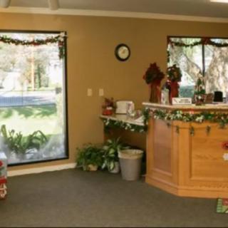 A warmly decorated reception area with holiday accents, featuring a desk, large windows, and indoor plants.