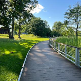 A peaceful pathway winding through a lush green park under a clear blue sky.